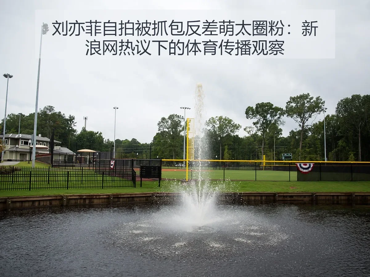 刘亦菲自拍被抓包反差萌太圈粉:热议下的体育传播观察